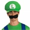 Rubies Hats Adult Luigi Costume Hat